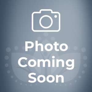 Photo coming soon